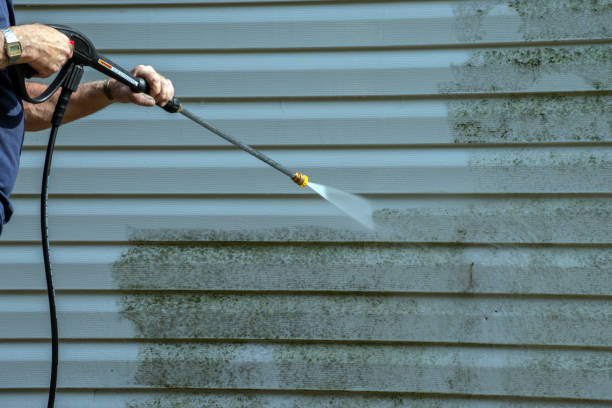 Best Driveway Pressure Washing  in Hamburg, NJ